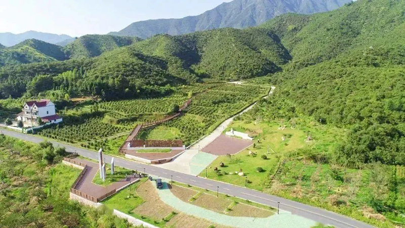 國(guó)家級(jí)示范，浙江新增4家！