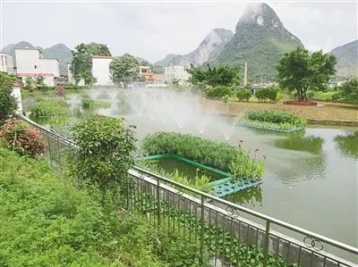 廣西《農村生活污水治理“十四五”規(guī)劃》