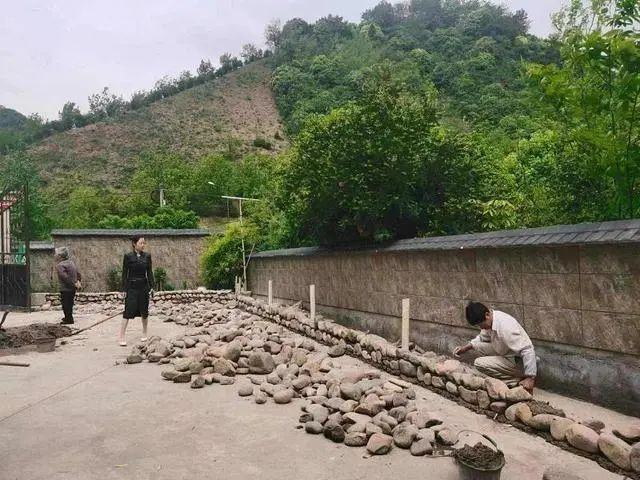 共富“重頭戲”！臨安朱灣村與九耕“牽手”打造“五星生態(tài)農(nóng)場”