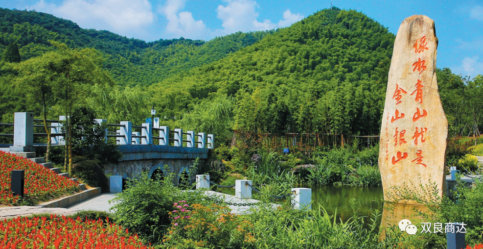 臥虎藏龍取景地，安吉大竹海！商達(dá)五鶴村農(nóng)村污水示范站點(diǎn)投入試運(yùn)行