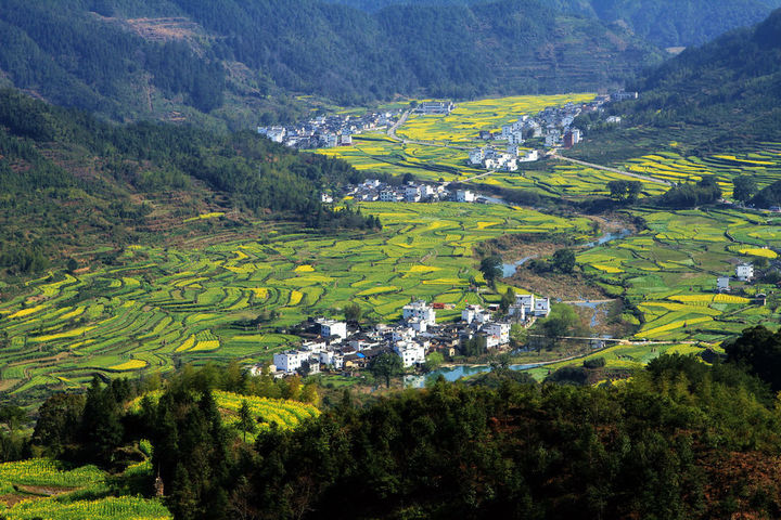 浙江?。盒略鲛r(nóng)村行政村環(huán)境整治1100個(gè)，基本消除農(nóng)村黑臭水體