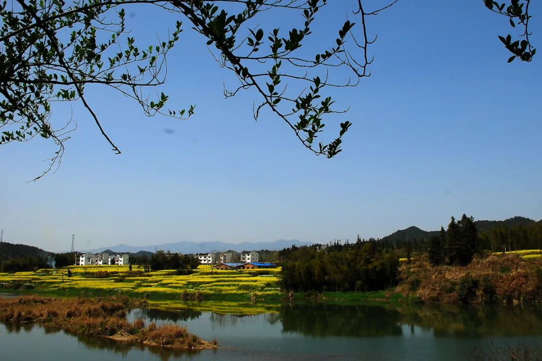 到2025年 山東農(nóng)村生活污水治理率達到55%