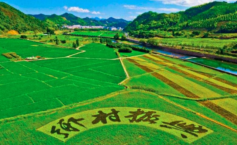 鄉(xiāng)村振興規(guī)劃實(shí)施進(jìn)展如何？這場(chǎng)發(fā)布會(huì)劃重點(diǎn)：系統(tǒng)治理優(yōu)生態(tài)