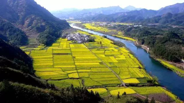 中央經濟工作會議要求，在落實碳達峰碳中和目標任務過程中鍛造新的產業(yè)競爭優(yōu)勢