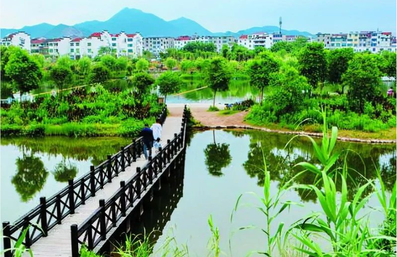 《中國(guó)環(huán)境報(bào)》頭版頭條：浙江構(gòu)建降碳、減污、擴(kuò)綠、增長(zhǎng)整體智治體系