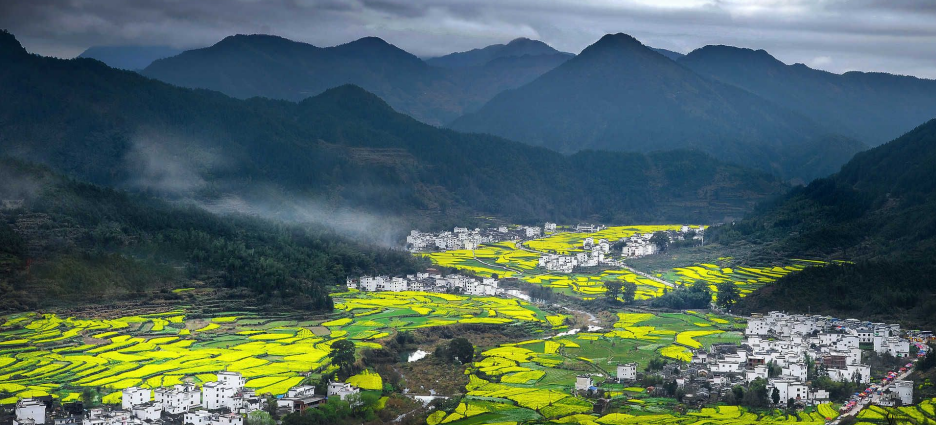 農(nóng)業(yè)農(nóng)村部一號文件發(fā)布：統(tǒng)籌推進(jìn)農(nóng)村生活污水和垃圾治理！