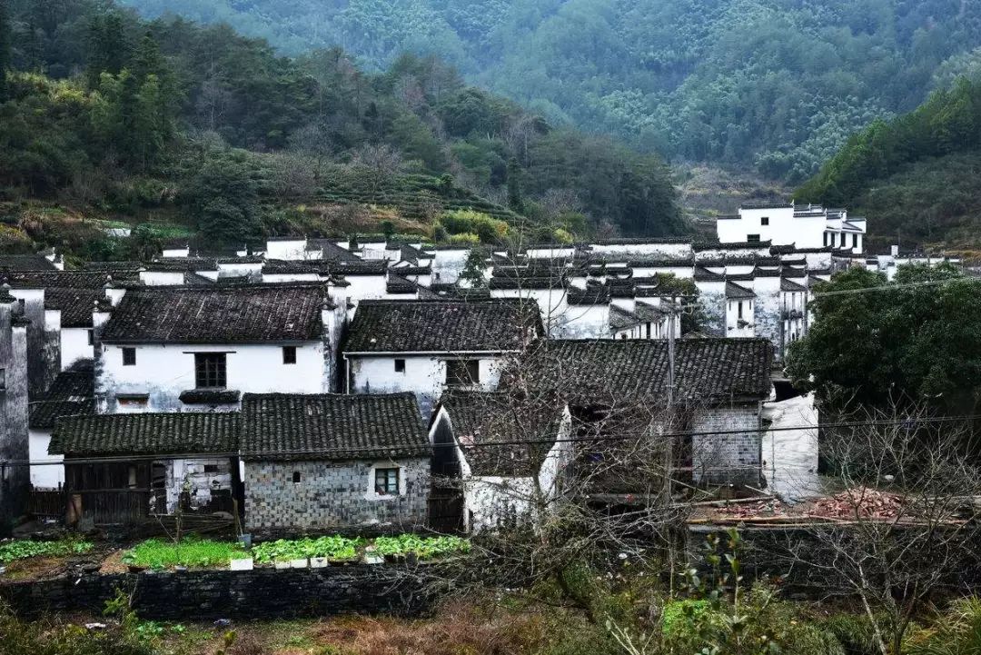 七部門明確！在農(nóng)村人居環(huán)境整治提升中統(tǒng)籌考慮減污降碳要求