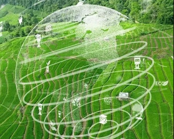農(nóng)業(yè)碳匯加速入局碳交易，農(nóng)產(chǎn)品固碳價(jià)值“變現(xiàn)”可期