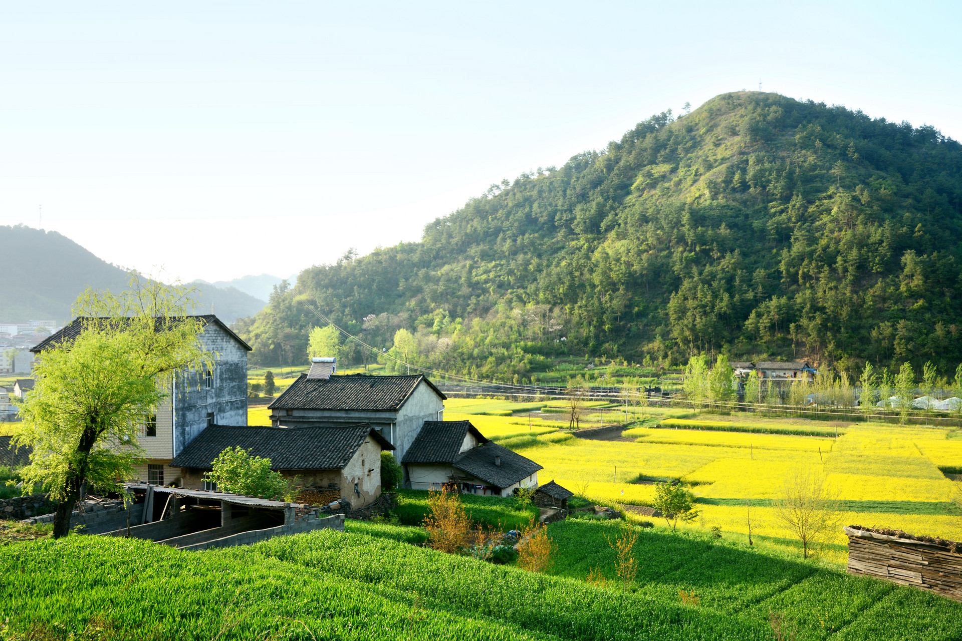 推進(jìn)農(nóng)村生活垃圾和污水治理低碳化！關(guān)于印發(fā)《吉林省城鄉(xiāng)建設(shè)領(lǐng)域碳達(dá)峰工作方案》的通知