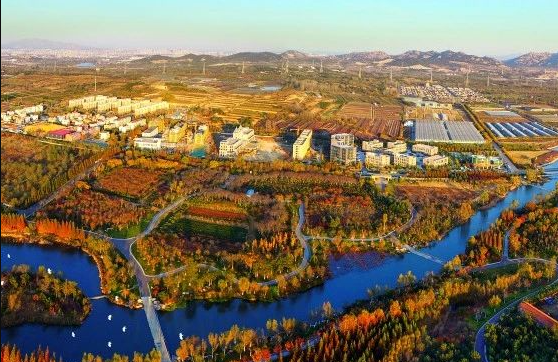 什么是農(nóng)村生活污水全域治理的“青島速度”？