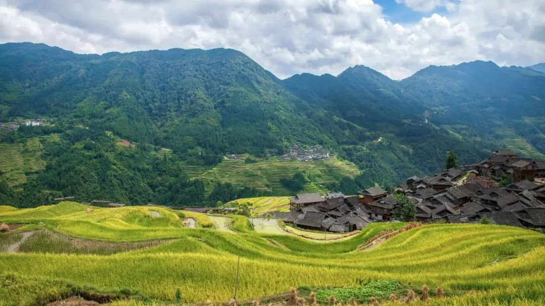 安徽：農(nóng)村黑臭水體整治，強(qiáng)化推進(jìn)會(huì)落實(shí)