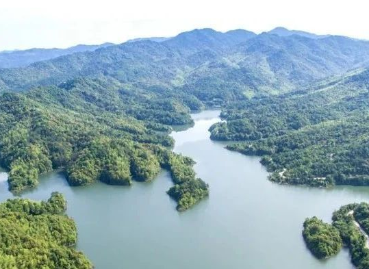 超5億元，福建洛江農(nóng)村生活污水提升治理項(xiàng)目特許經(jīng)營項(xiàng)目公開招標(biāo)