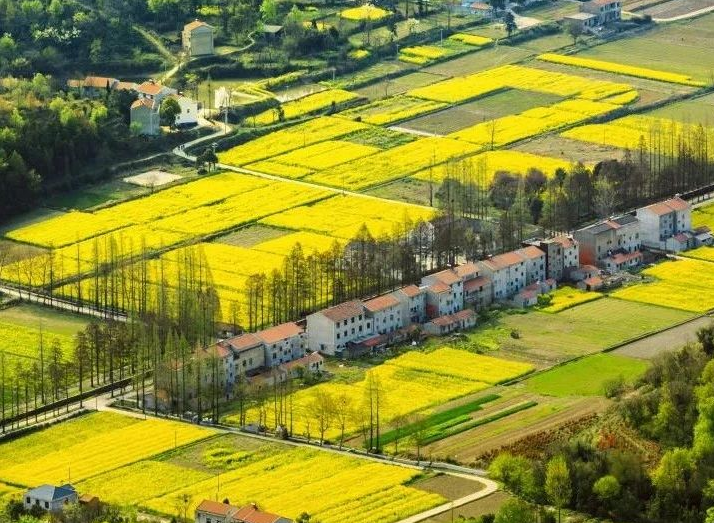 2025年治理率達(dá)到65.76%以上，武漢市農(nóng)村生活污水治理三年行動(dòng)實(shí)施方案發(fā)布