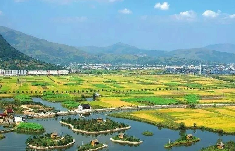 鄉(xiāng)村振興工作滯后，約談！江西省委、省政府發(fā)布《江西省鄉(xiāng)村振興責(zé)任制實(shí)施細(xì)則》