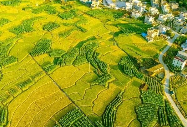 農(nóng)村污水處理：不同省份如何因地制宜？