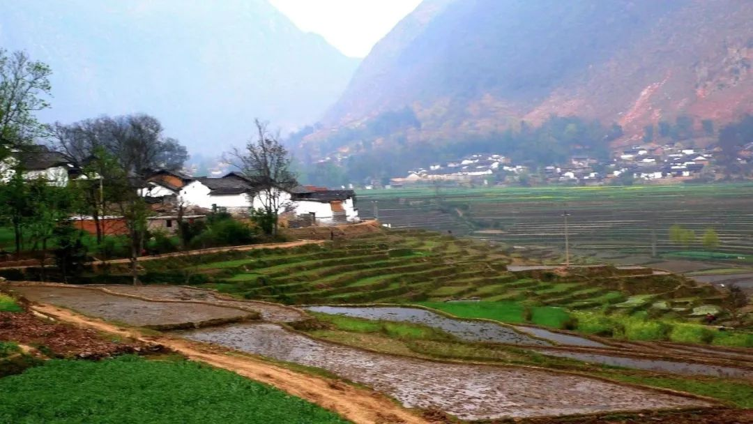 濟(jì)寧：農(nóng)村污水治理全域統(tǒng)籌，提升治理水平