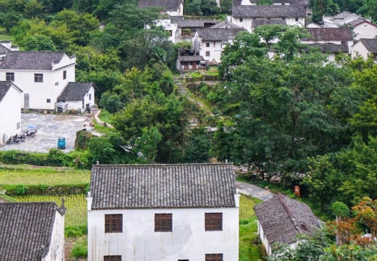 安徽六安市生態(tài)環(huán)境局發(fā)布《2024年六安市土壤、地下水污染防治和農(nóng)村生態(tài)環(huán)境保護工作要點》！