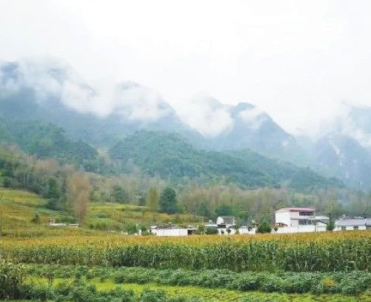甘肅?。恨r(nóng)村生活污水治理（管控）率達到29.47%以上