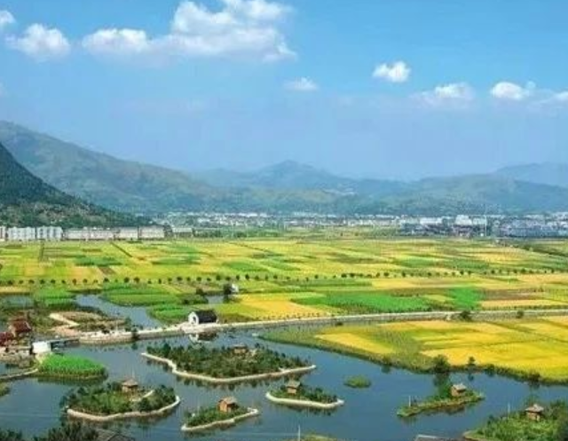 山東印發(fā)實施意見，大力發(fā)展現(xiàn)代設施農(nóng)業(yè)