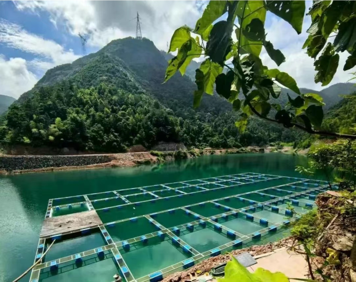 農(nóng)業(yè)農(nóng)村部專家組調研商達公用縉云山泉魚生態(tài)養(yǎng)殖項目